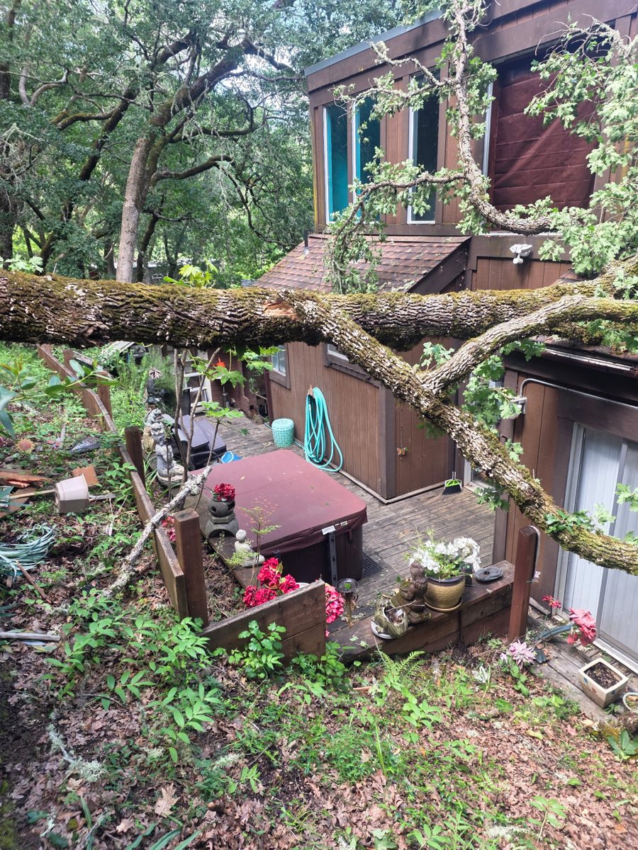 Storm-broken oak limb lying across a backyard deck